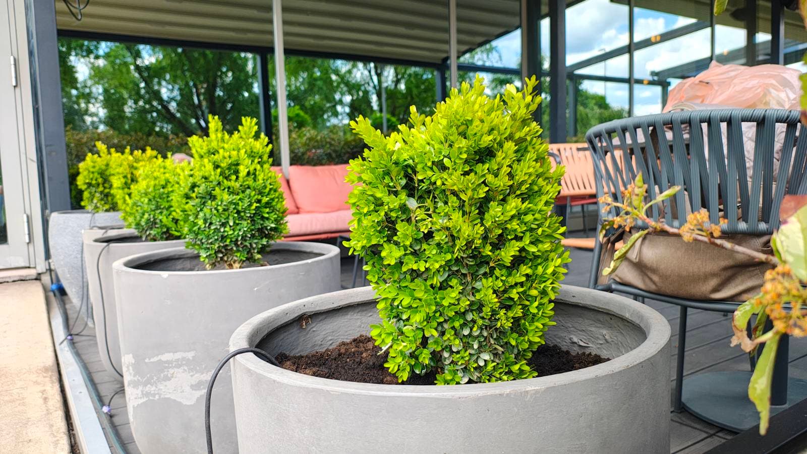 Redovno čišćenje 4